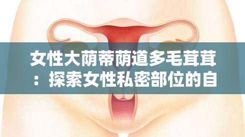 女性大荫蒂荫道多毛茸茸：探索女性私密部位的自然之美